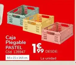 Conforama PASTEL Caja Plegable oferta