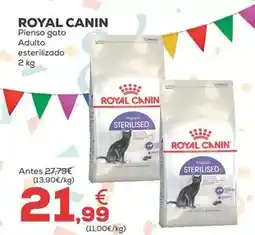 Kiwoko Royal canin - pienso gato adulto esterilizado oferta