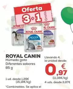 Kiwoko Royal canin - humedo gato oferta