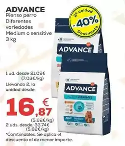 Kiwoko Advance - pienso perro oferta