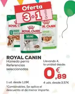 Kiwoko Royal canin - humedo perro oferta