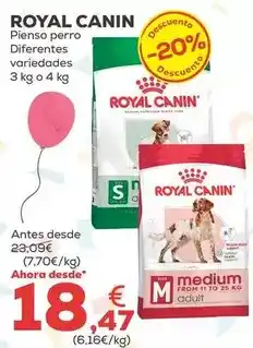 Kiwoko Royal canin - pienso perro oferta