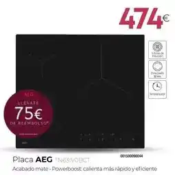 Tien 21 Aeg - placa tn63ivobct oferta