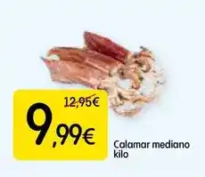Dialprix Calamar mediano oferta
