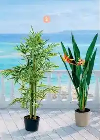 E.Leclerc Plantas artificiales sterilitzia, bambu oferta