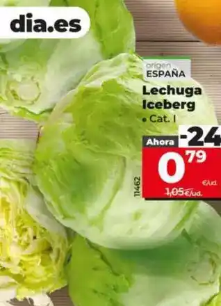 Dia Lechuga iceberg oferta