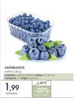 Supermercados Plaza Origen - arándanos oferta