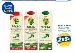 Cash Ecofamilia Vivesoy - bebida soja oferta