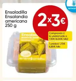 FROIZ Ensaladilla Ensalandia americana oferta