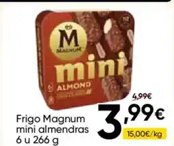 FROIZ MAGHUM Frigo mini almendras oferta