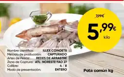 FROIZ Pota común oferta