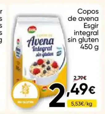 FROIZ Copos de avena Esgir integral sin gluten oferta