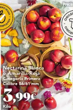 Gadis Nectarina Blanca o Amarilla-Roja oferta