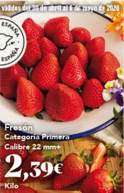Gadis Freson oferta