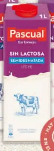 Gadis PASCUAL Leche sin Lactosa Semidesnatada oferta