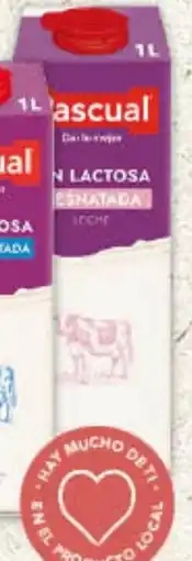Gadis PASCUAL Leche sin Lactosa Desnatada oferta