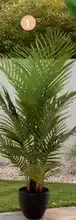 E.Leclerc Plantas artificiales oferta