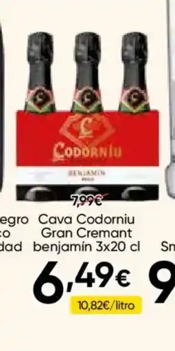 FROIZ CODORNIU Cava Gran Cremant benjamin oferta
