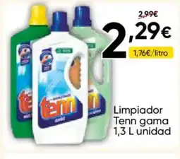 FROIZ TENN Limpiador gama oferta