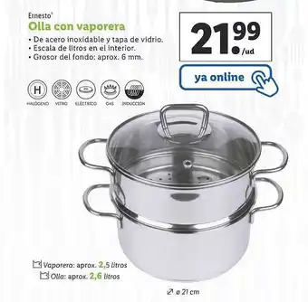 Lidl Ernesto Olla Con Vaporera oferta