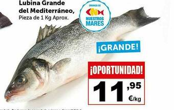Masymas Lubina Grande Del Mediterráneo oferta