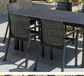 Sillón Miranda ratán Elegante