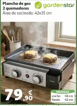 Alcampo Gardenstar Plancha de gas 2 quemadores oferta