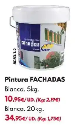 BricoCentro Pintura fachadas oferta