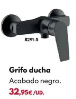 BricoCentro Grifo ducha oferta