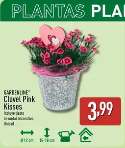 ALDI GARDENLINE Clavel Pink Kisses oferta