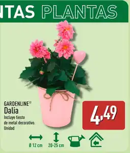 ALDI GARDENLINE Dalia oferta