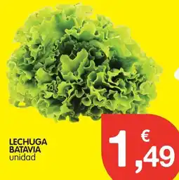 CashDiplo Lechuga batavia oferta