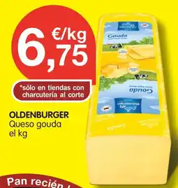 CashDiplo OLDENBURGER Queso gouda oferta