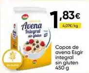FROIZ Esgir - copos de avena integral sin gluten oferta