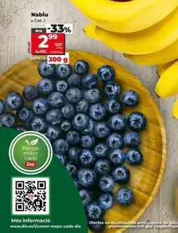 Dia Nabiu oferta