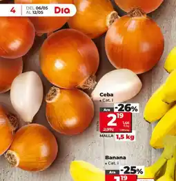 Dia Ceba oferta
