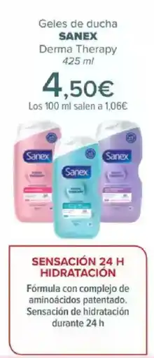 Carrefour SANEX Geles de ducha Derma Therapy oferta