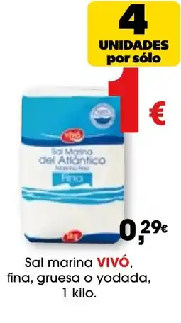 TOP Cash & Carry VIVÓ Sal marina fina, gruesa o yodada oferta
