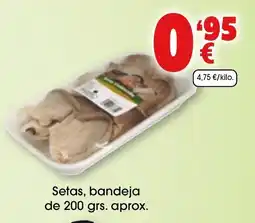 TOP Cash & Carry Setas oferta