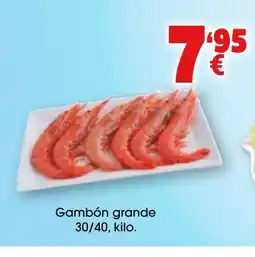 TOP Cash & Carry Gambón grande oferta