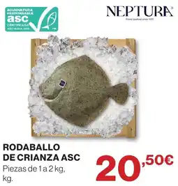 Supercor Rodaballo de crianza asc oferta