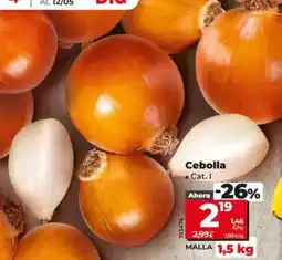 Dia Cebolla oferta