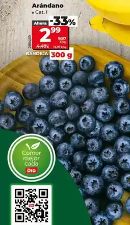 Dia Arándanos oferta
