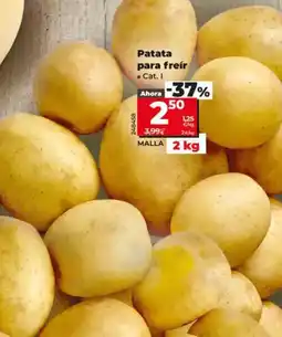 Dia Patata para freir oferta