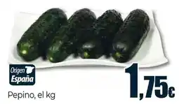Unide Supermercados Pepino oferta