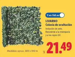 Lidl Livarno - celosía de ocultación oferta