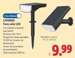 Lidl Livarno - foco solar led oferta