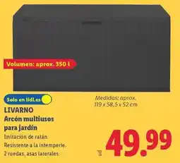 Lidl Livarno - arcón multiusos para jardín oferta