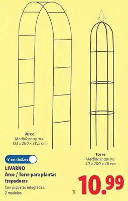 Lidl Livarno - arco/ torre para plantas trepadoras oferta