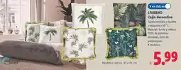 Lidl Livarno - cojin decorativo oferta